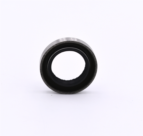 Oil Seal - 267000094