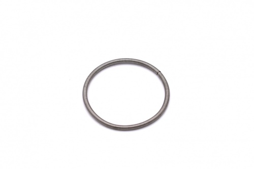 Hose Spring - 420239048