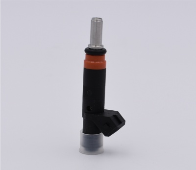 Fuel Injector 420874520