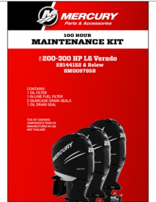 100 Hour Service Kit 8M0097858