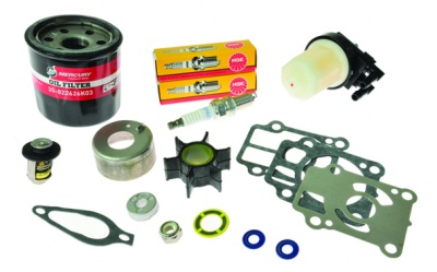 300 Hour Service Kit - 25/30 HP 0R106999 and above