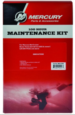 100 Hour Service Kit 8M0147058