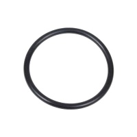 Fuel Filter O-Ring
