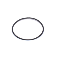 Thermostat O-Ring