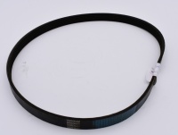 Alternator Belt RDG0048974