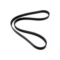 Serpentine Belt